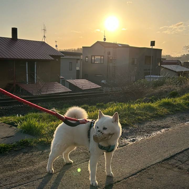 92686c7b 8336 49b9 885c 284d177625bf 1682541889584