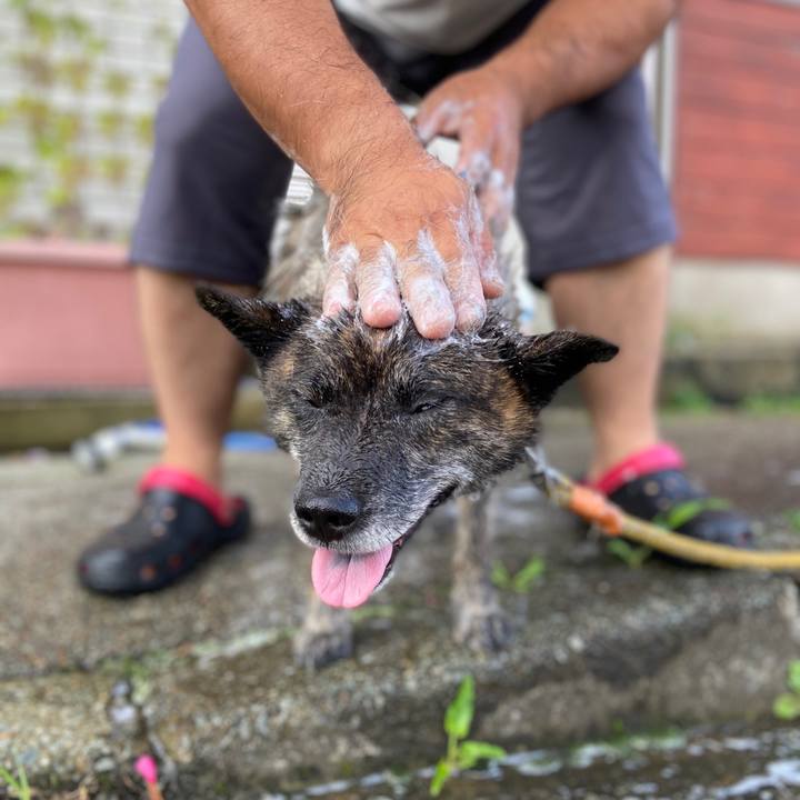 92686c9e 32e8 4d33 9443 a7b642b1c034 1597012743671