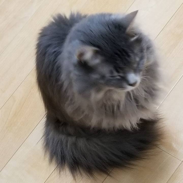 92686db7 6edb 45d3 9cec 08ce2c6999c9 1556237356162