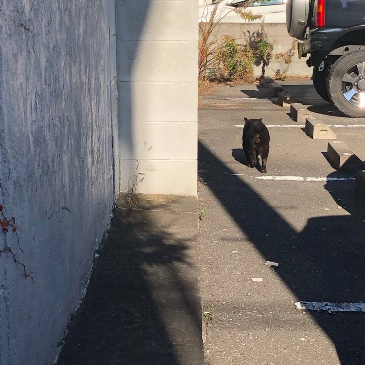 926870a4 2296 4205 af62 3fae239992d7 1547988468250