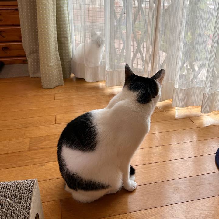 926873de 8669 408a 9e61 87461b62688a 1731279357328