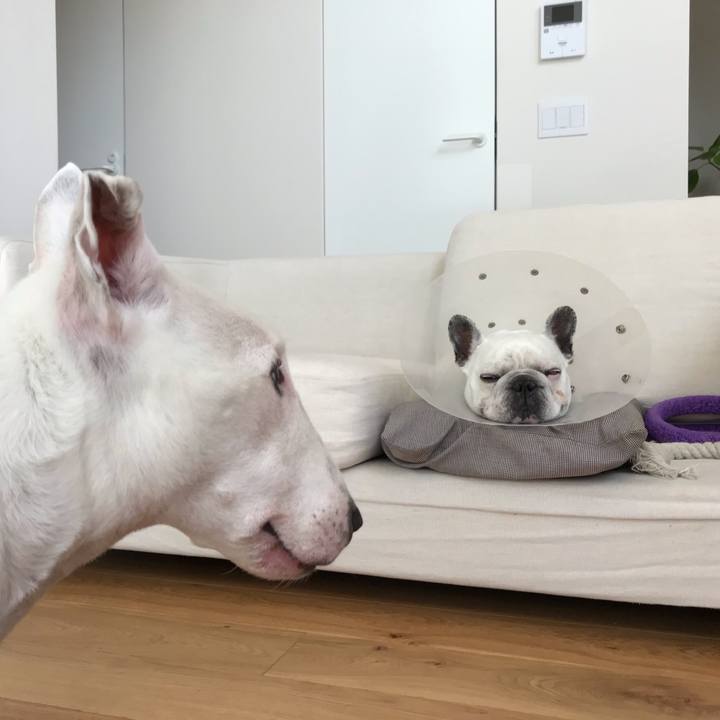 9268b45f 0955 4359 9046 730435976707 1609944913718