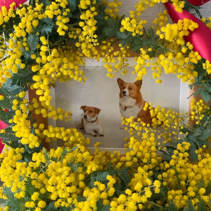 9268c252 4788 4a61 9926 630b85e285c8 1582514653247