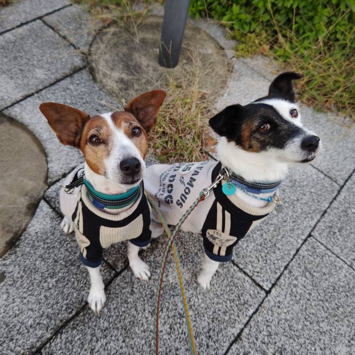 92695348 a4ee 4c9c b728 f2b188d6a1fb 1730585130501