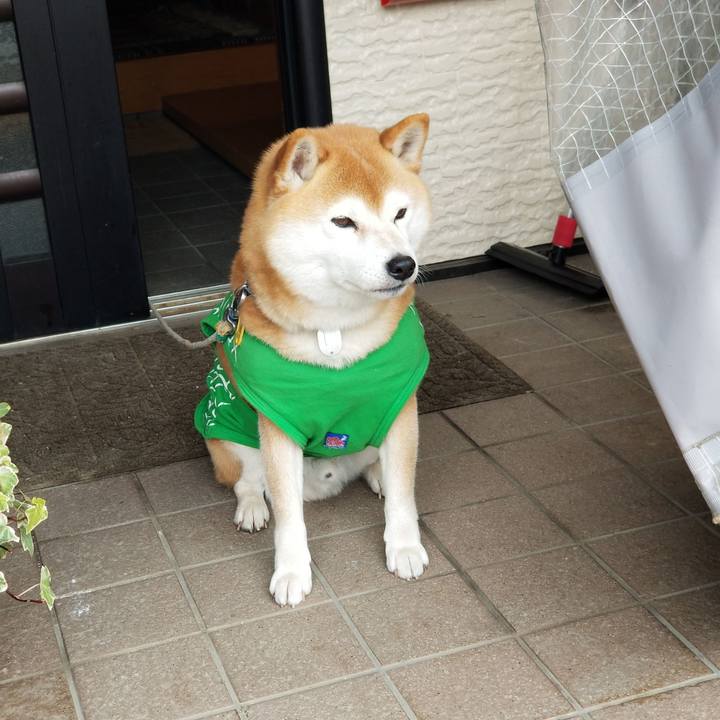 92697c92 c163 4e93 b01a 4d2f78695882 1585389884376