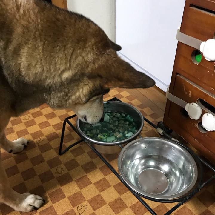 9269b79d 8f95 48a5 b5c7 7a4243910109 1555084861826