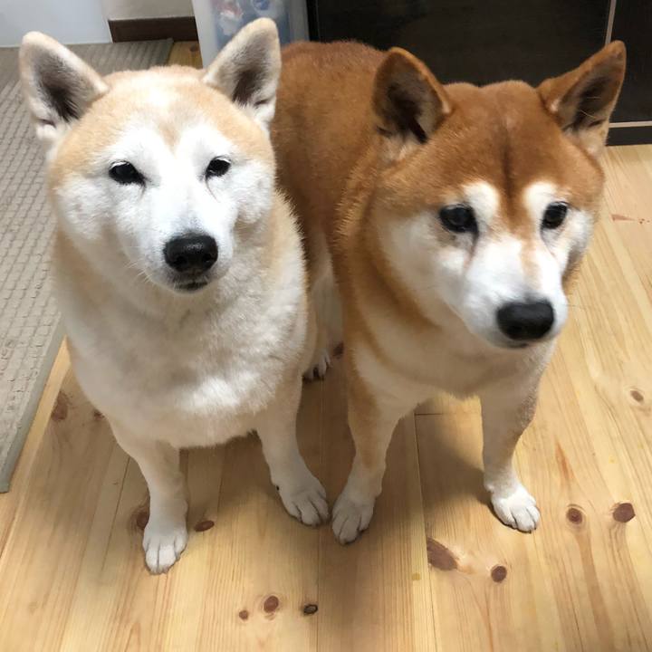 9269d3ff 2949 4fc3 b1bc 6a44fa111b8d 1540766631034