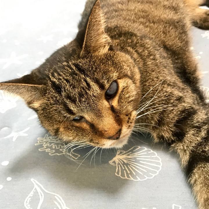 9269d6c7 86ec 4e31 a6e6 1c6f9f62419c 1566120276527