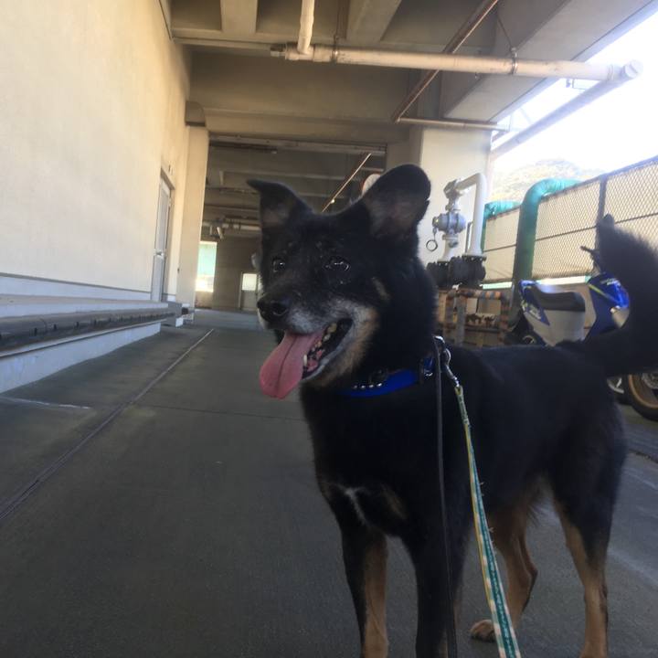 9269f37a c469 4f4d b482 2adbdd078c74 1548776231394