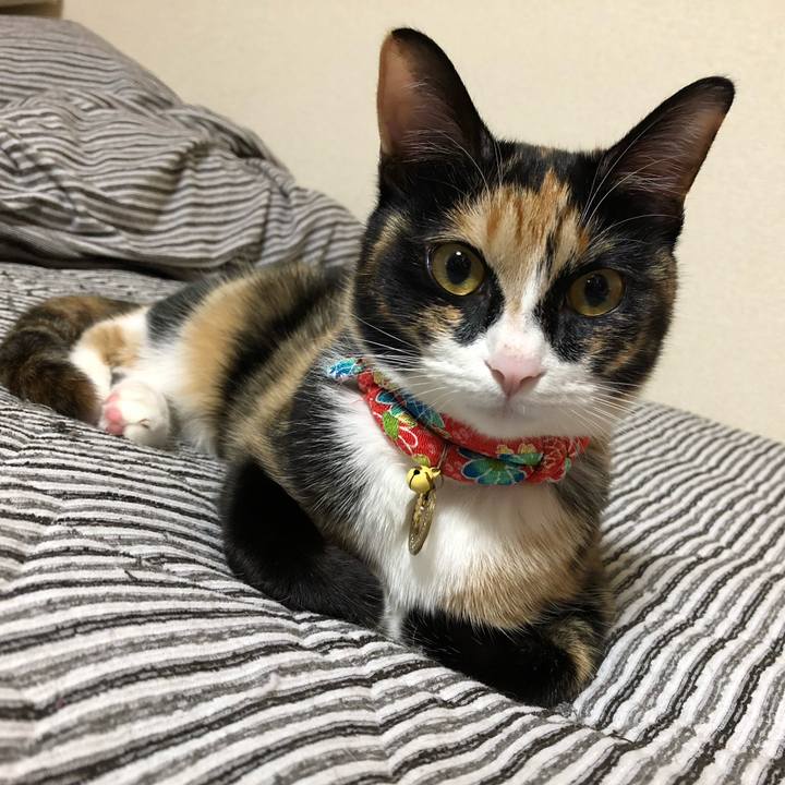 926a0e8b 7815 49de 8aad b4437f0ea3c8 1559046282143