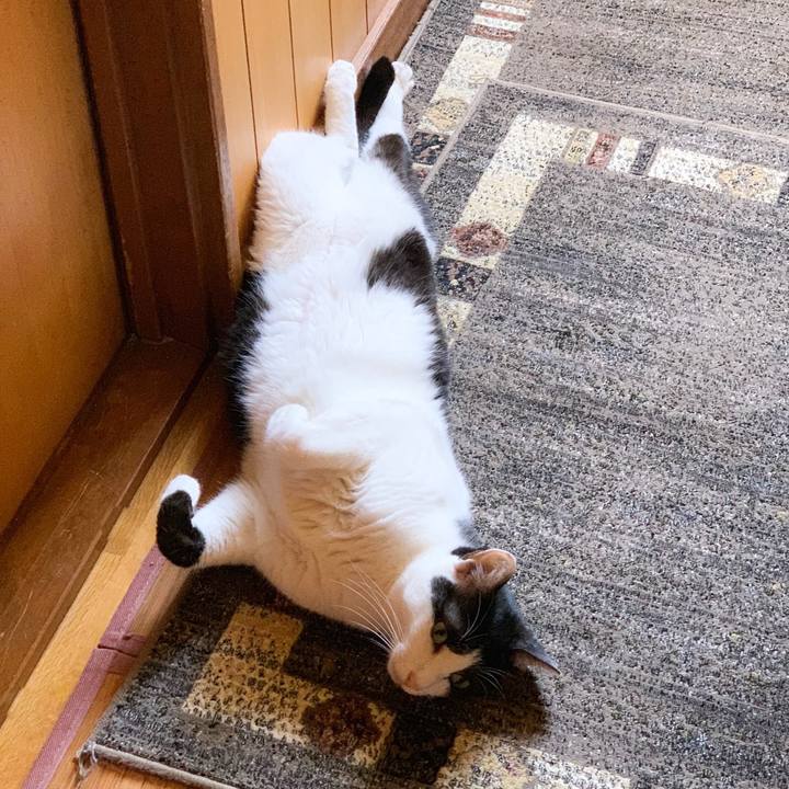 926a8c8b 27de 49c7 9c3c a5c4cc4531bc 1567733898954