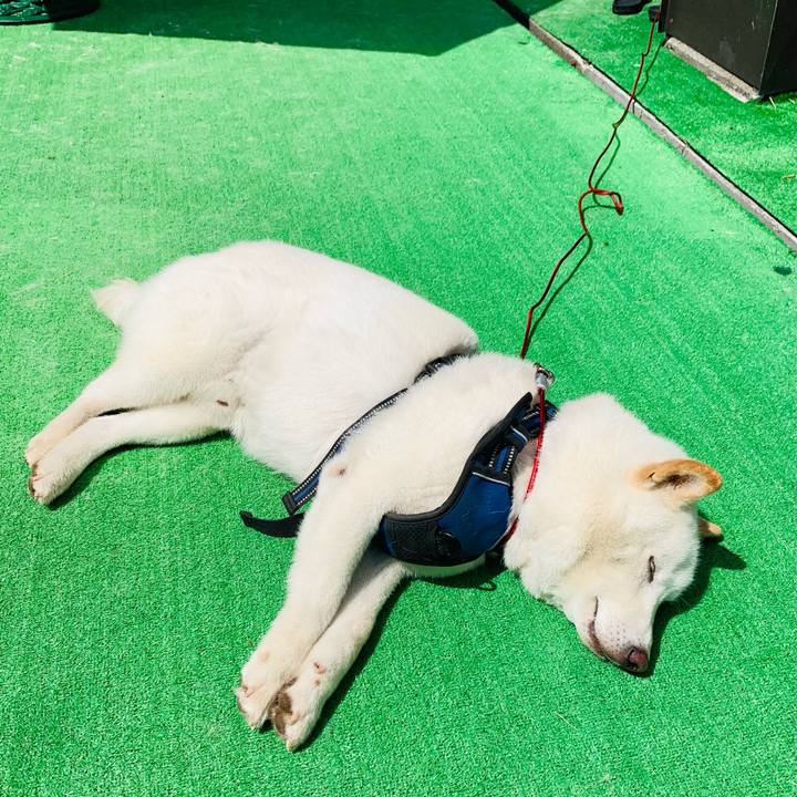 926adfba 90cb 47ca 978f 4ee13b25ce3e 1628218926851