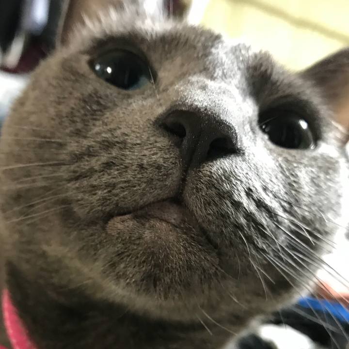 926af027 6299 4265 9313 251932cc33f5 1529158422812