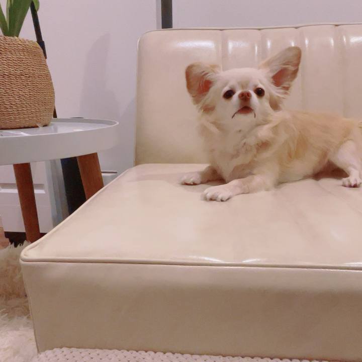 926b3d17 372d 40eb 9930 98104bddb522 1751371653965