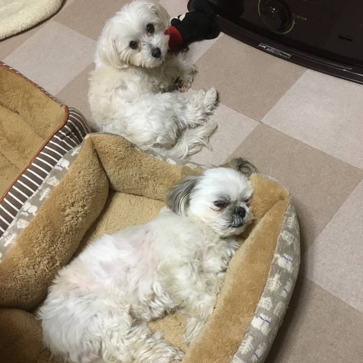 926ba214 4eee 4c11 9e2a 48b7f1c6a496 1518650435781