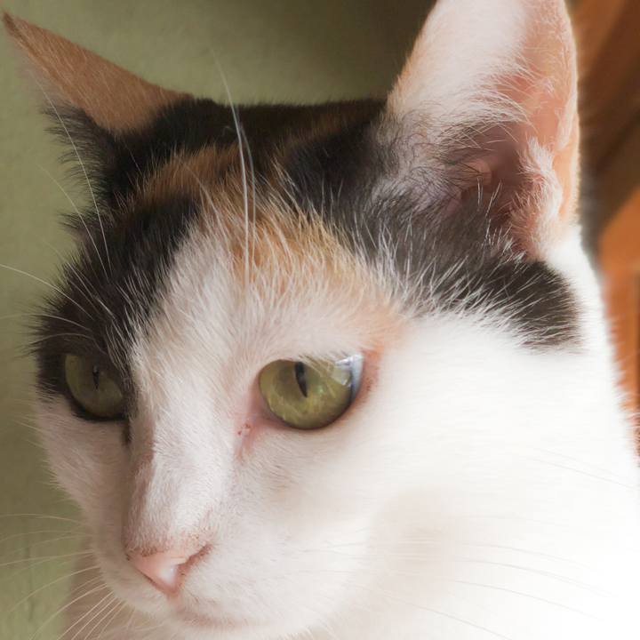 926ba57d 0b66 41da 966e 41d252ac007b 1569032568389