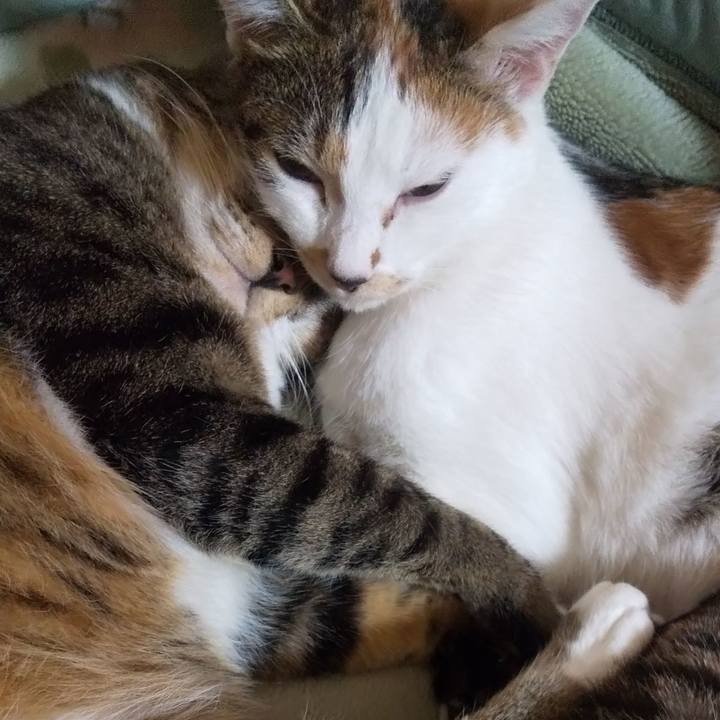 926becef bd97 4a1b 8aa9 829d0e1a6380 1665150107322