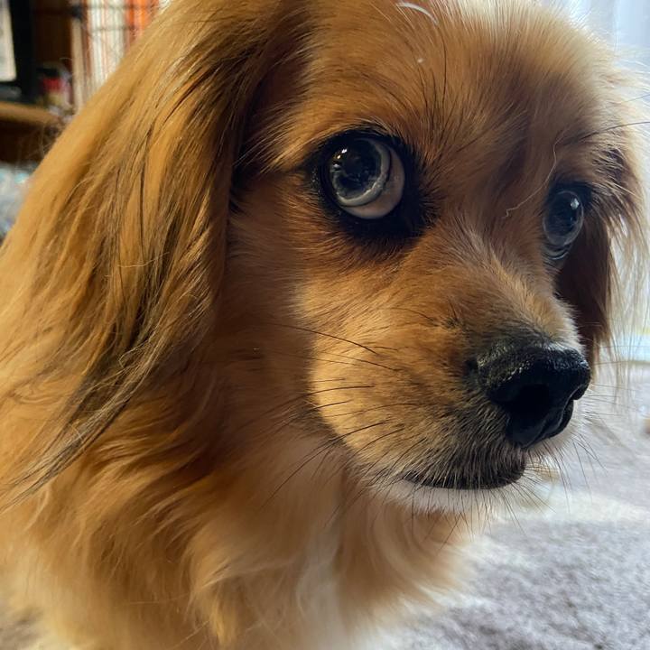 926c0107 448a 4699 a932 a280f91b90f4 1621373375933