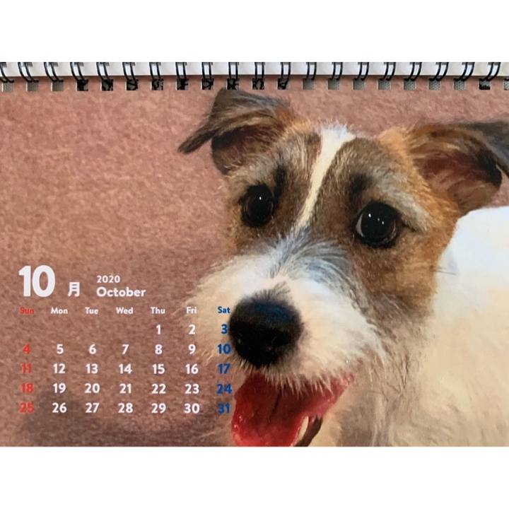 926c43ef 2350 4a96 bdac 2d8e47306e40 1604210847540