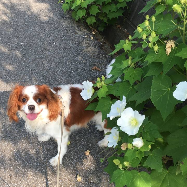 926c5e21 7f66 408e 8e4e 944499ddd805 1730462978202