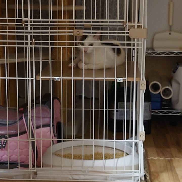 926c60cd 6b99 450e af06 c6639f97333b 1688906489928