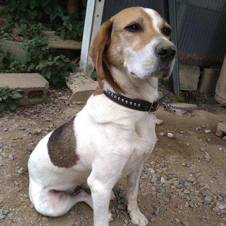 926c8269 17fb 48af 8472 9f87486380a4 1658373541685