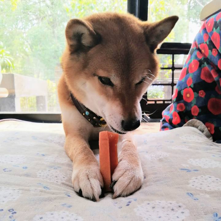 926c86e3 cca4 4720 a235 c9407e73f0b1 1587529090357