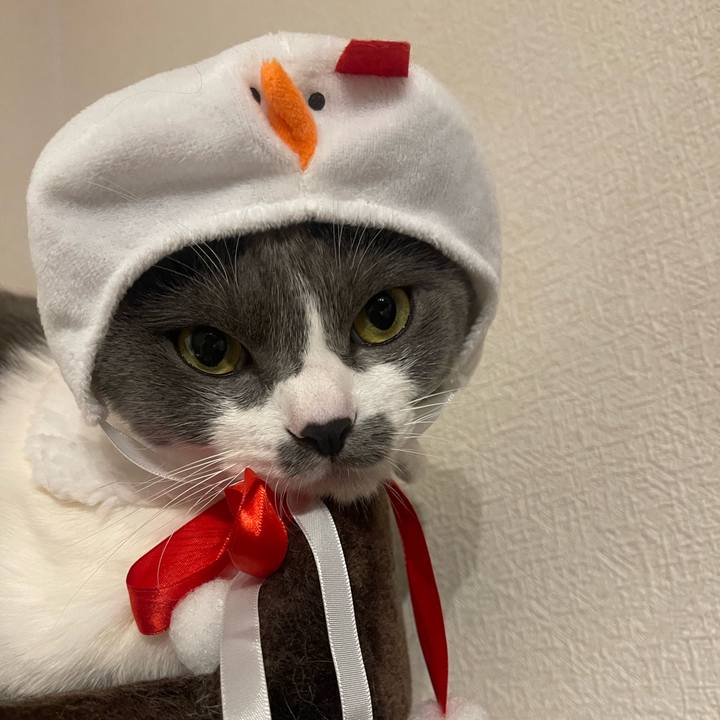 926cac8a 95d0 40f1 a2d6 8e02542b65c8 1703333588558