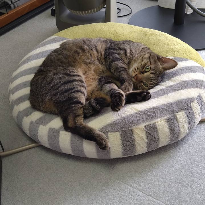 926cb9ab dd04 4b18 b30e 7c6cba966793 1643420493982