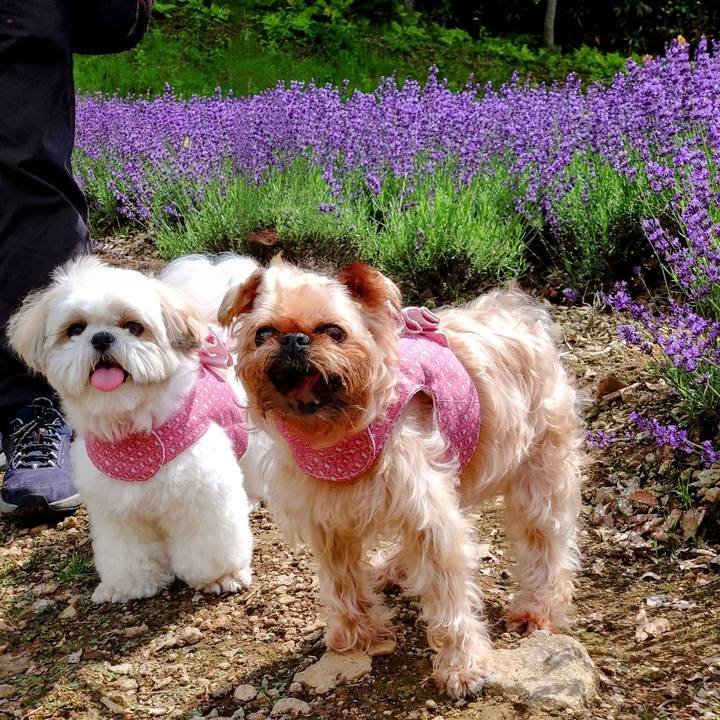 926cc2ad e1a2 4916 9720 0cb2d2733a5d 1690096280441