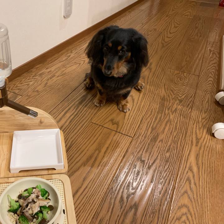 926cce4e dd45 493a b2aa 155de2c627b6 1561285000492