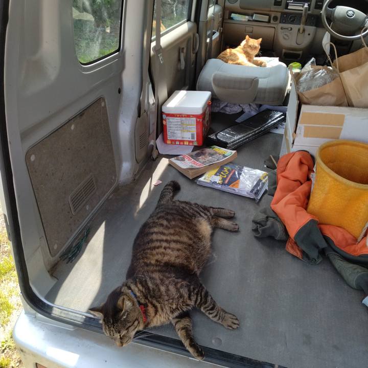 926ce876 67a3 4185 bed4 edd855e0e94b 1685429582565