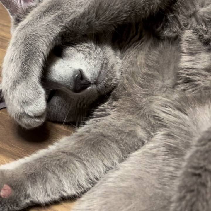 926ceb30 ac7f 4299 8227 fbe8d1c51e4f 1738920540689