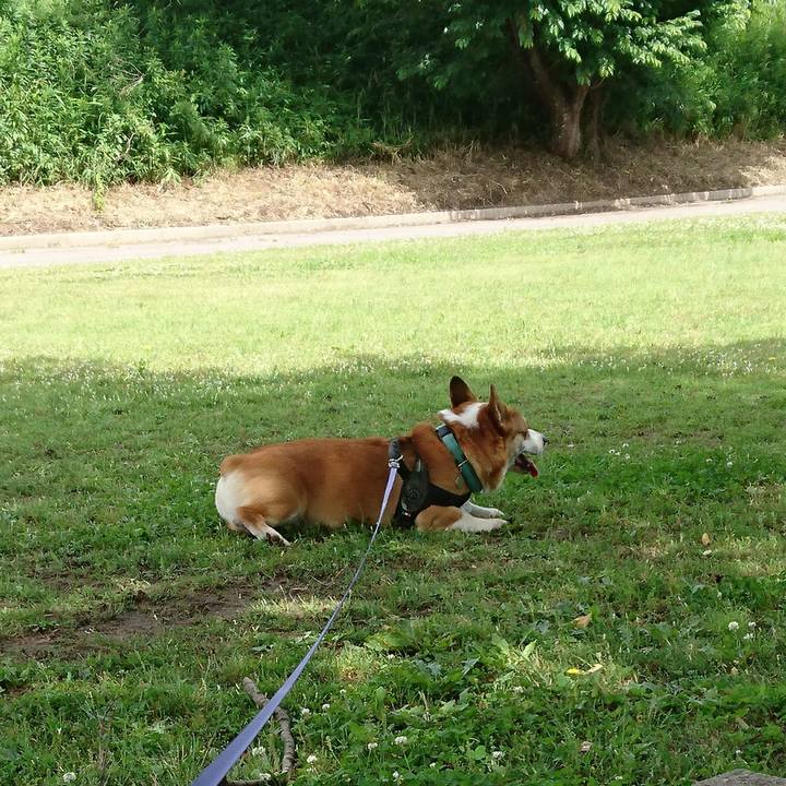 926d1b35 fc02 442f 9da8 9ec71b632e31 1654932201662