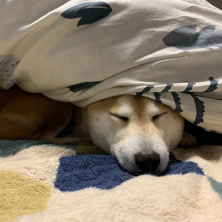 926d289b 3f71 4c52 9449 ba4043657383 1617024133926