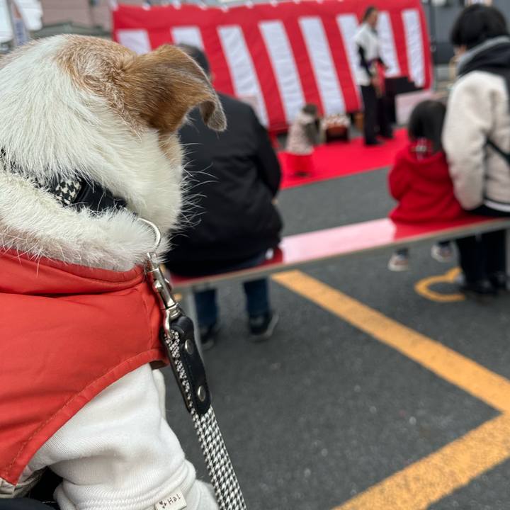 926d767d 4f20 4d66 9d18 236deeddf016 1675741204129