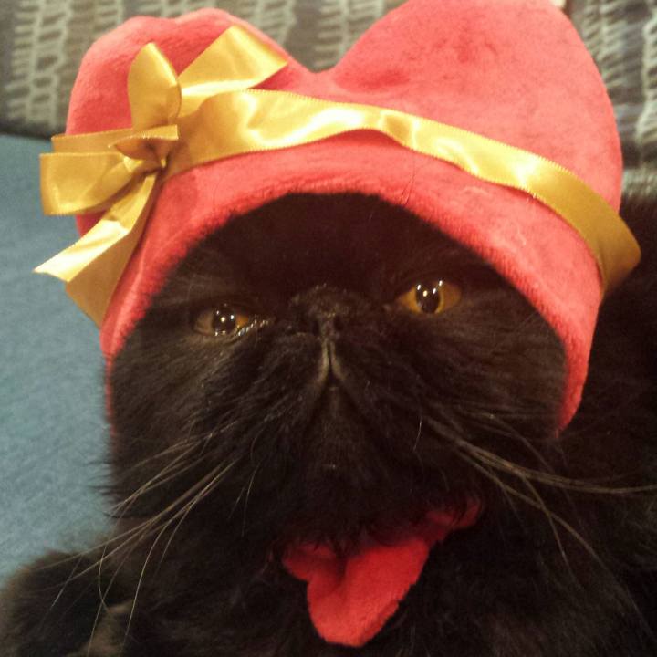 926d9cfb 4ee3 4f53 9630 4bc08c4a607a 1517132944643