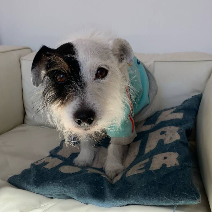 926dba1c 86da 4bfa b3ca d28dad4edbc6 1644982845943