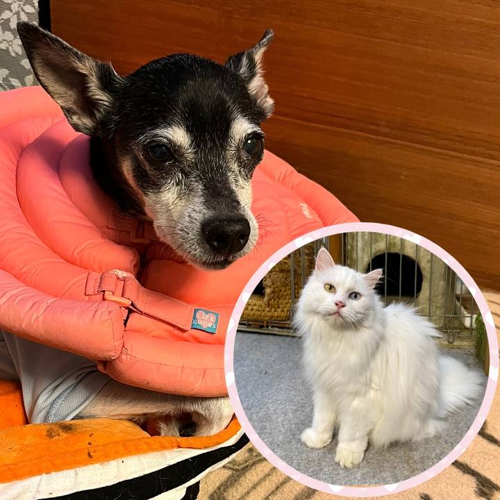 926e60b0 9031 46ec 9e8b 3a84b966d62a 1646310765121