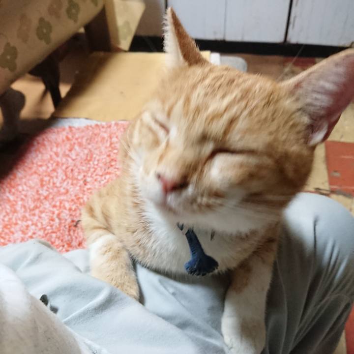 926e7e99 6fa0 489a b557 298938c7f379 1568029996704