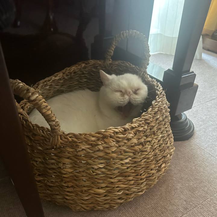 926e87f9 c417 4c77 9550 79810f231a66 1755415914513