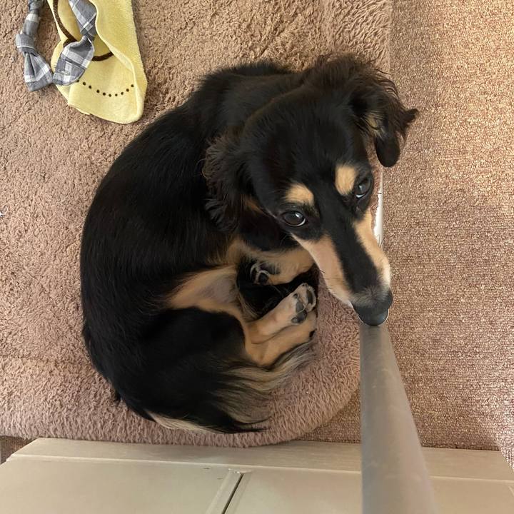 926e9177 6c64 4f5b 8e67 ffd0b17b12d0 1695778255451