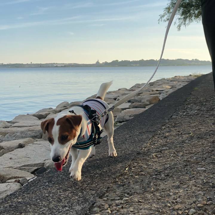 926e9b97 2466 431b b1e0 7d86966241a3 1659522691709