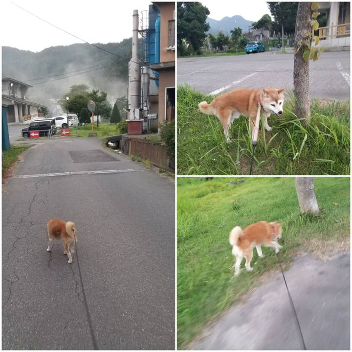 926e9c26 5040 4f13 b316 18d36986235e 1755856585225