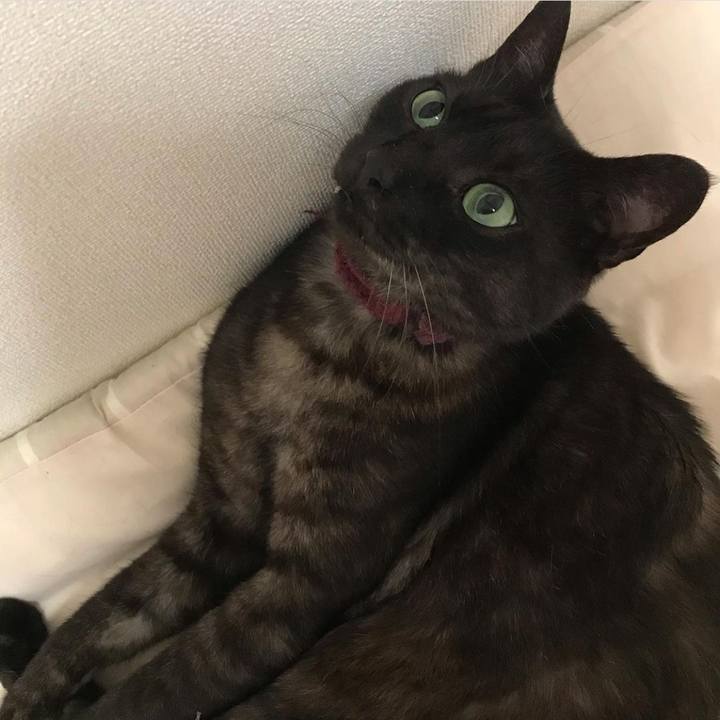 926ebd32 bb67 49cb a676 a5c3a1ed5b3e 1623194453698