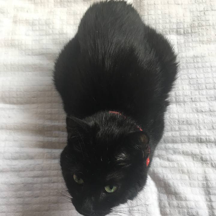 926ec463 2bce 45cd bbc0 204d9dcdd3c6 1550961764556