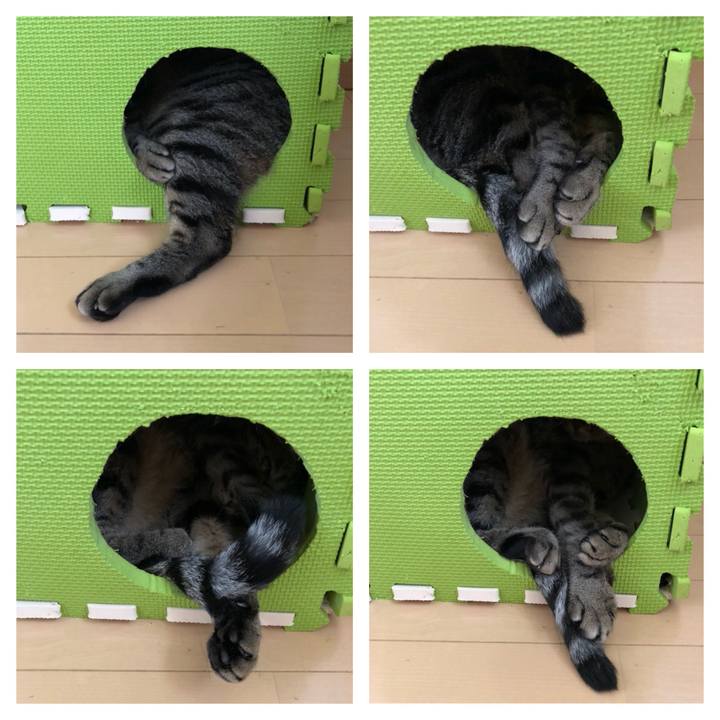 926ecadf 3d11 4b6a bbb7 73ba24993ccc 1529728909005