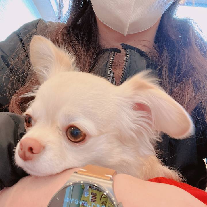 926ed8e0 49ed 4d04 a5d8 4ca48025044f 1675228720578