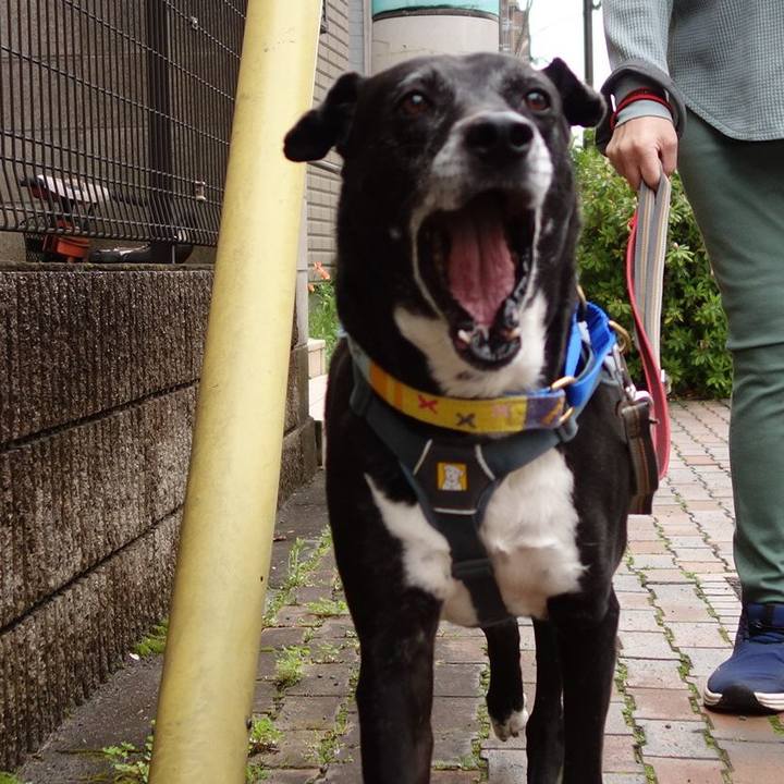 926edffc 805e 4dc6 a294 5a80e6715b81 1744332193751