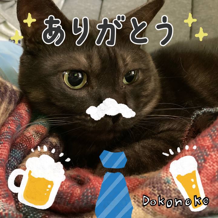 926ee392 3f50 46a2 832e d20d5b9c4c01 1718058194493